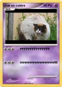 chat en colère