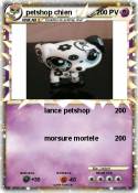 petshop chien
