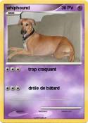 whiphound whiphound
