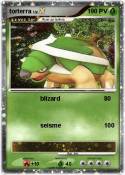 torterra