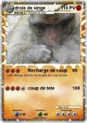 drole de singe