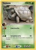 Torplante