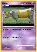 vache vache