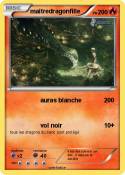 maitredragonfille