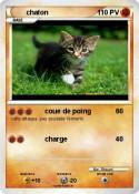 chaton