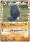le gros chaton