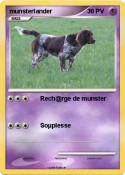 munsterlander
