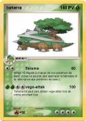 torterra