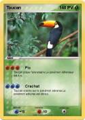 Toucan 