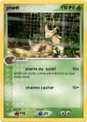 phanfi phanfi