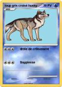 loup gris