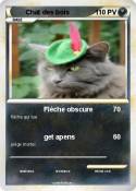 Chat des bois