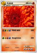 FLEUR FLEUR