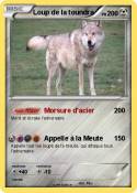 Loup de la