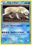 Loup Arctique