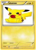 pikamiam