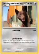 red dog