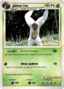 gibbon fou