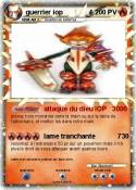 guerrier iop 4