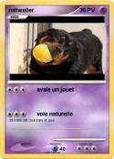 rottweiler