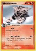 miaouuuuuuuuu