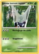 bouvier bernois rep0se bouvier bernois