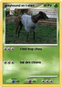 greyhound en t-shirt greyhound en
