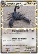 Scorpion geant