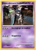 dogue allemand footballeur dogue allemand