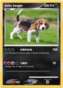 bebe beagle