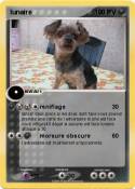lunaire lunaire