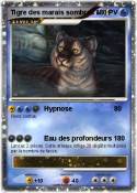 Tigre des