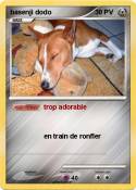 basenji dodo