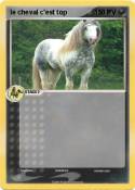 le cheval c'est