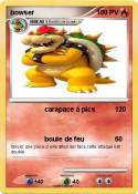 bowser bowser