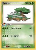 Torterra Torterra