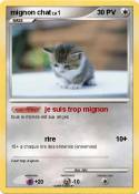 mignon chat