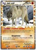 dark wolf dark wolf