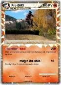 Pro BMX