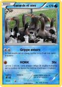 canards et oies