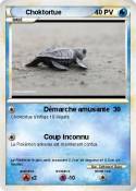 Choktortue Choktortue