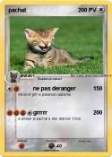 pachat