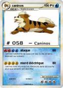 caninos caninos