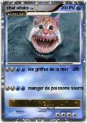 chat attaks