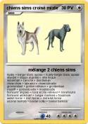 chiens sims