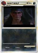 NIGHT WOLF