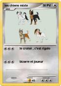 les chiens