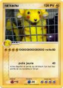 rat kachu rat kachu