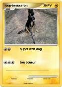 loup-beauceron