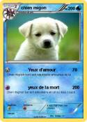 chien migon